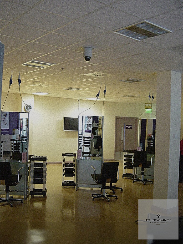 Atelier Voxanitis