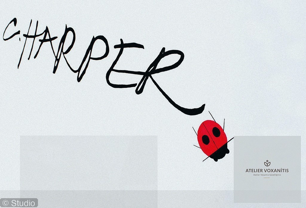 Özel Günler İçin Profesyonel Makyaj ve Danışmanlık Hizmetleri - section 1