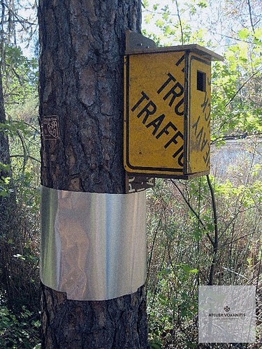 Özel Günler İçin Profesyonel Makyaj ve Danışmanlık Hizmetleri - section 2